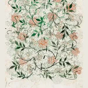 Dernier Modèle Poster William Morris - Jasmine in Progress 61x91,5cm