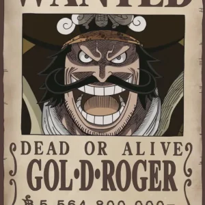 Affaire À Saisir Poster One Piece - Wanted Gol .D. Roger 61x91,5cm
