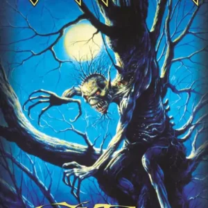 Jusqu’à Épuisement Des Stocks Poster Iron Maiden - Fear of the Dark 61x91,5cm