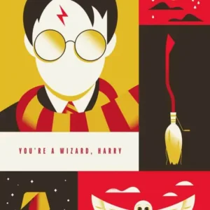 Retour Gratuit Poster Harry Potter - 100th Anniversary WB 61x91,5cm