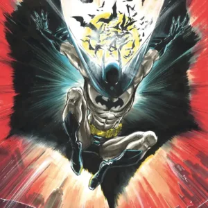 Vente Flash Poster Batman - Warner 100th 61x91,5cm