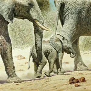 Remise Kunstdruk Renato Casaro - Go Baby Go 100x70cm