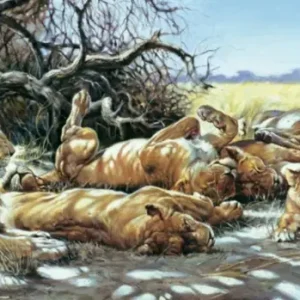 Acheter En Ligne Kunstdruk Renato Casaro - After breakfast 99x34cm