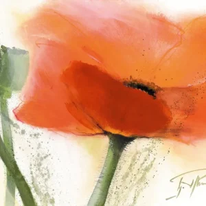 Commander Vite Kunstdruk Gerd Pflumm - Faszination Mohn III 80x60cm