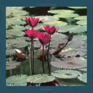 Vente Directe Kunstdruk Laurent Pinsard - Nenuphars 95x33cm