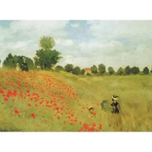 Vente Directe Kunstdruk Claude Monet - Les coquelicots 40x30cm