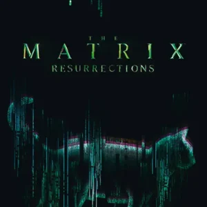 Livraison Express Poster The Matrix - Cat 61x91,5cm