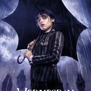 Poster Wednesday - Downpour 61x91,5cm Commande En Gros