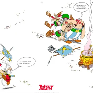 Acheter Direct Poster Asterix Flyleaf 91.5x61cm