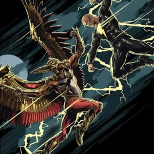 Paiement Sécurisé Poster DC Comics - Black Adam - vs Hawkman 61x91,5cm