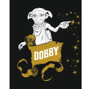 Kunstdruk Harry Potter - Dobby 30x40cm Prix Bas