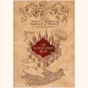 Super Prix Kunstdruk Harry Potter - The Marauders Map 30x40cm