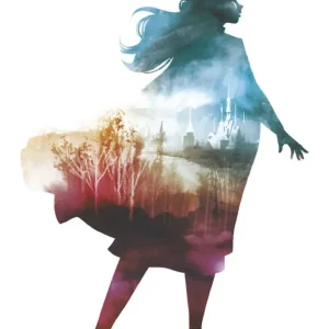 Kunstdruk Frozen - II Anna 30x40cm Meilleur Prix