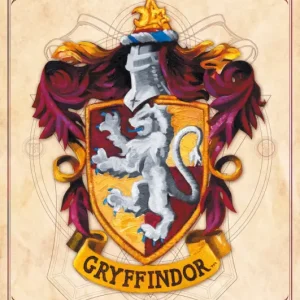 Meilleur Prix Poster Harry Potter - Gryffindor 61x91,5cm