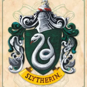 Commander Vite Poster Harry Potter - Slytherin 61x91,5cm
