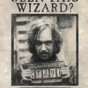 Paiement Sécurisé Poster Harry Potter - Wanted Sirius Black 61x91,5cm