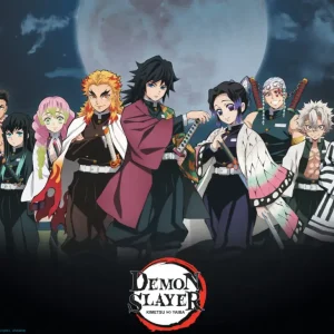 Acheter Direct Poster Demon Slayer - Pillars 52x38cm