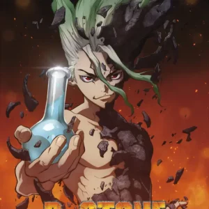 Prix Bas Poster Dr Stone - Senku 38x52cm