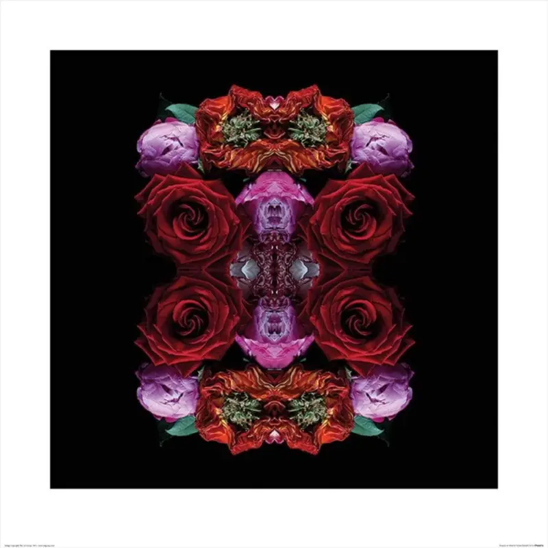 Acheter Direct Kunstdruk Alyson Fennell - Paradise of Petals 60x60cm