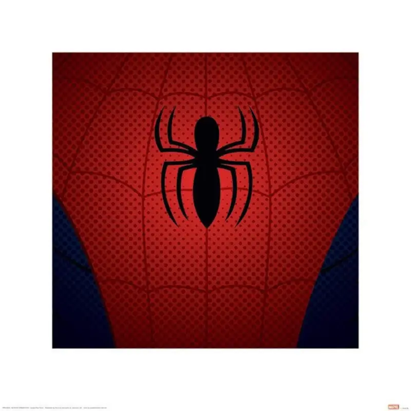 Jusqu’à Épuisement Des Stocks Kunstdruk Ultimate Spider-Man Torso 40x40cm