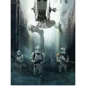 Authentique Kunstdruk Star Wars - Rogue One Stormtrooper Patrol 60x80cm