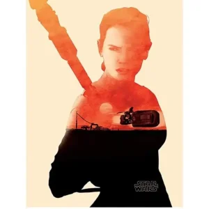 Achat Immédiat Kunstdruk Star Wars - Episode VII Rey Tri 60x80cm