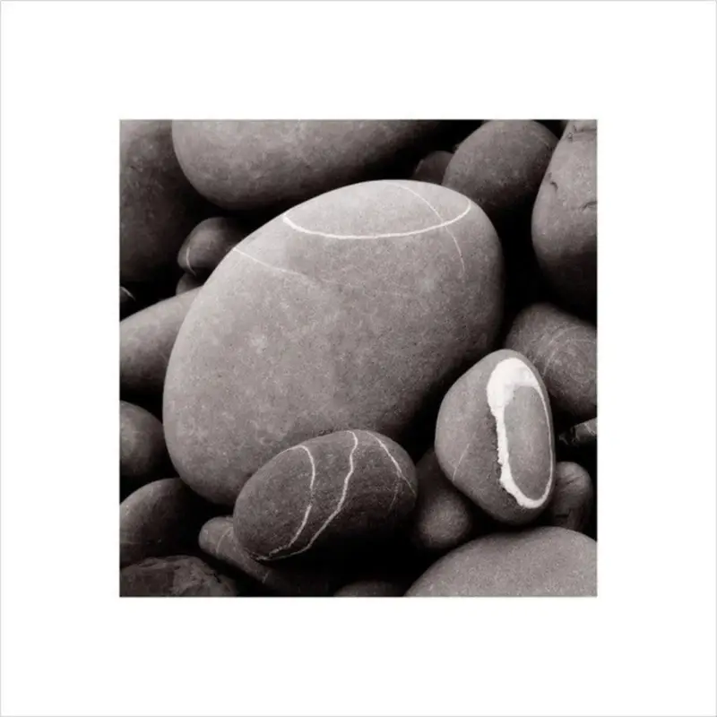 Réduction Kunstdruk Smooth Pebbles 40x40cm
