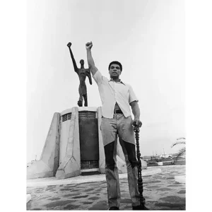 Expédié Aujourd’hui Kunstdruk Muhammad Ali - Black Power Salute 60x80cm