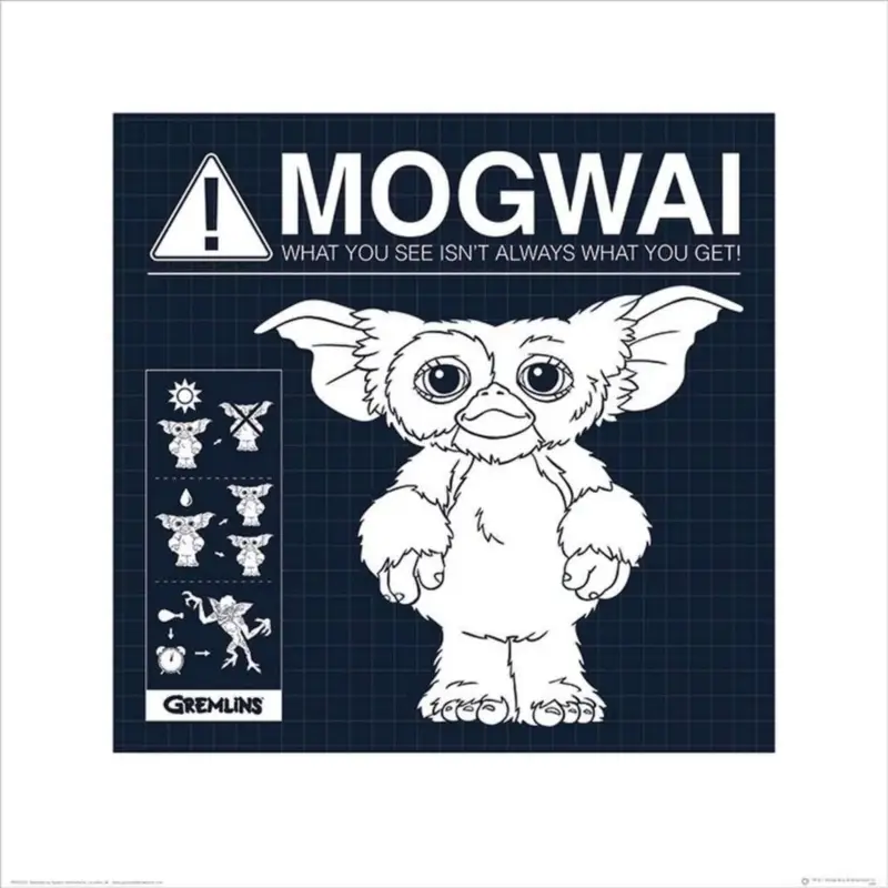 Kunstdruk Gremlins - Mogwai Rules 40x40cm Bon Plan
