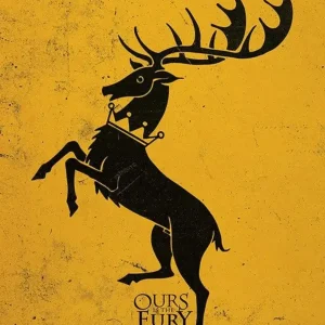 Kunstdruk Game of Thrones - Baratheon 60x80cm Bon Plan