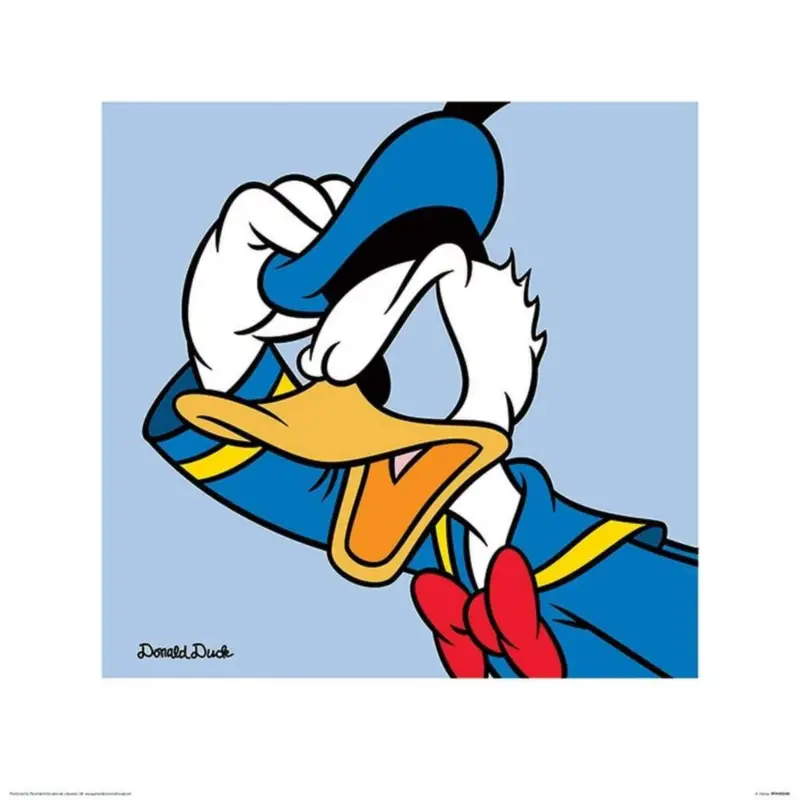 Kunstdruk Donald Duck - Blue 40x40cm Top Vente