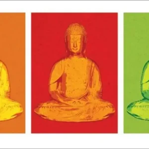 Kunstdruk Buddha Pop Art 100x50cm Prix Promo