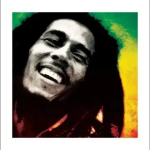 Prix Bas Kunstdruk Bob Marley - Paint 40x40cm