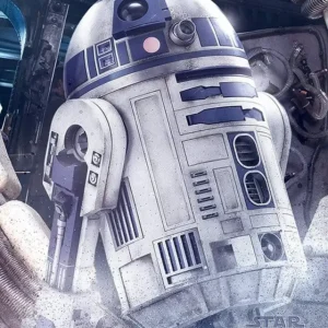 Jusqu’à Épuisement Des Stocks Poster Star Wars - the Last Jedi R2-D2 Droid 40x50cm
