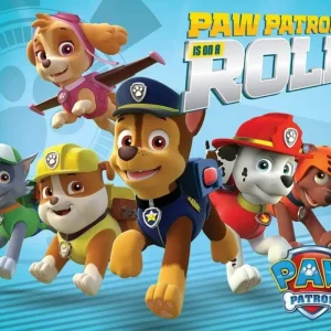 Vente Directe Poster Paw Patrol - On a Roll 50x40cm