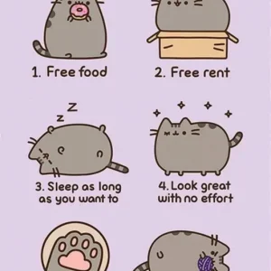 Vente Directe Poster Pusheen Reasons to be a Cat 61x91,5cm