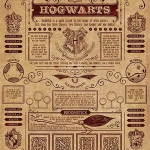 Super Prix Poster Harry Potter - Quidditch At Hogwarts 61x91,5cm