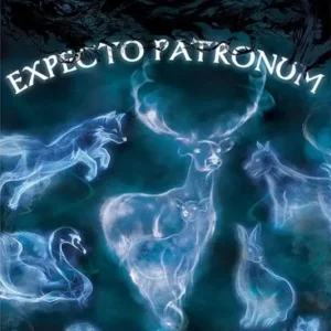 Solde Poster Harry Potter - Patronus 61x91,5cm