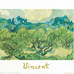 Solde Kunstdruk Vincent Van Gogh - Landscapes with olive trees 30x24cm
