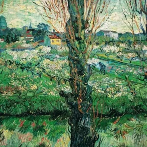 Acheter Direct Kunstdruk Vincent Van Gogh - Blick auf Arles 80x60cm