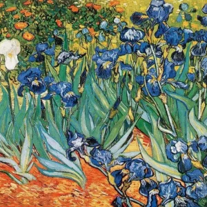 Dernier Modèle Kunstdruk Vincent Van Gogh - Iris 80x60cm