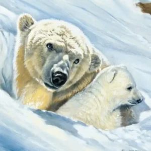 Certifié Kunstdruk Renato Casaro - Eisbär-Mama 50x70cm