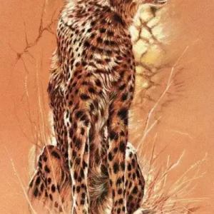 Promotion Kunstdruk Renato Casaro - Cheetah 50x100cm
