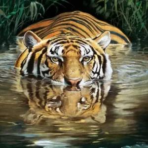 Retour Gratuit Kunstdruk Renato Casaro - Bamboo 50x70cm