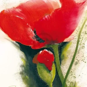 Retour Gratuit Kunstdruk Gerd Pflumm - Faszination Mohn II 60x80cm