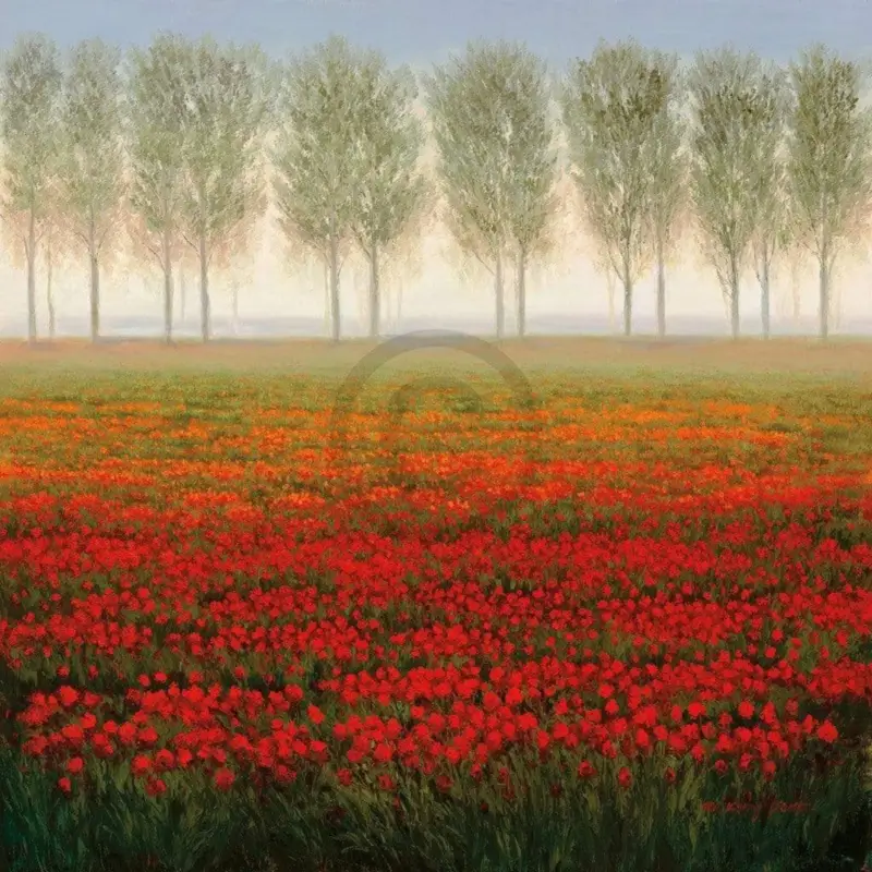 Super Prix Kunstdruk Park - Morning Mist 68x68cm