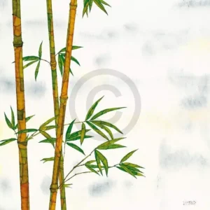 Commander Maintenant Kunstdruk Michael Ferner - Bambus 70x50cm