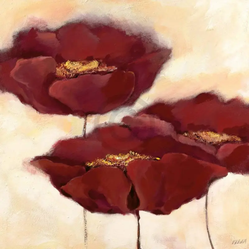 Prix Réduit Kunstdruk Elena Filatov - Mohn in Milch II 70x70cm