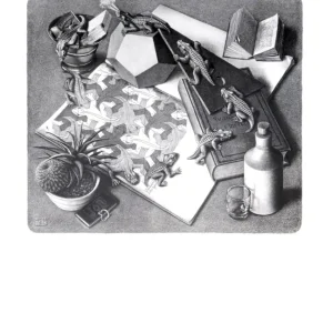 Bon Plan Kunstdruk M. C. Escher - Reptilien 55x65cm