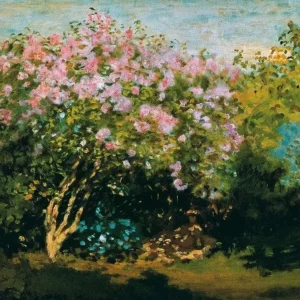 Dernière Chance Kunstdruk Claude Monet - Blühender Flieder in der Sonne 80x60cm